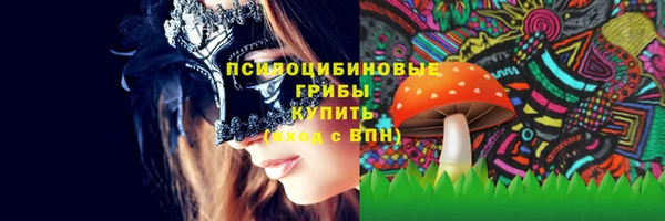 СК Железногорск-Илимский
